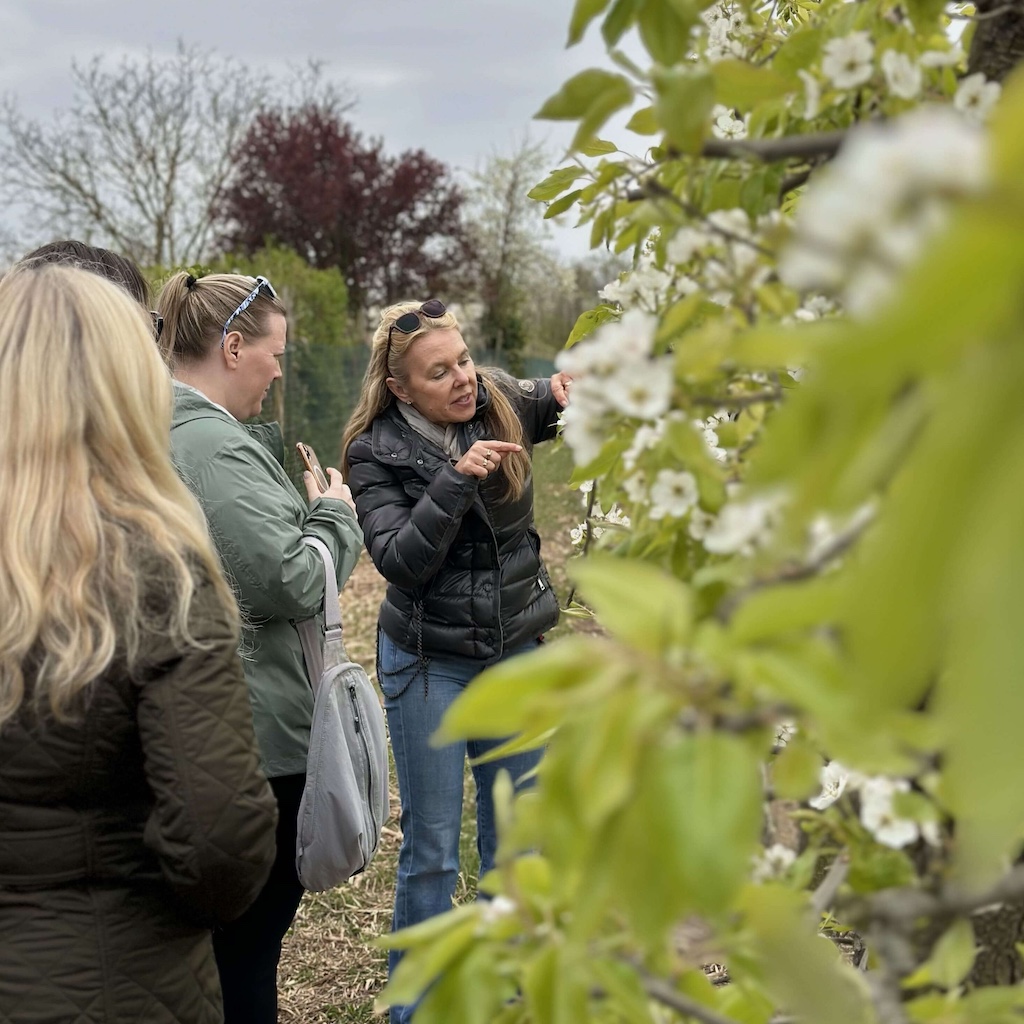 Owner and farmer Ilonka Happel showing us their apple trees at the Appel Happel orchard